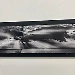 Suite Zeus